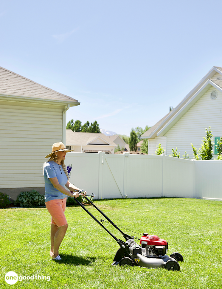 Problems That Can Ruin Your Lawn