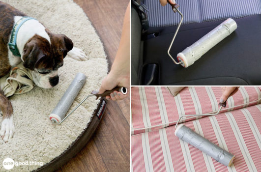 Removing Lint and Pet Hair