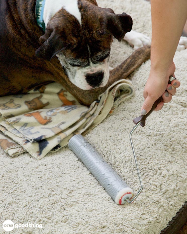 This Is The Best Hack Ever For Dealing With Pet Hair