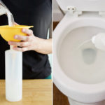 Toilet Bowl Cleaner