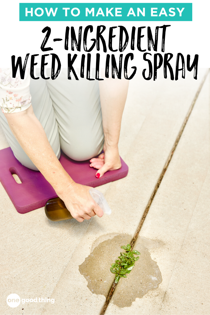 This Cheap Weed Killer Is The Easy DIY You Need