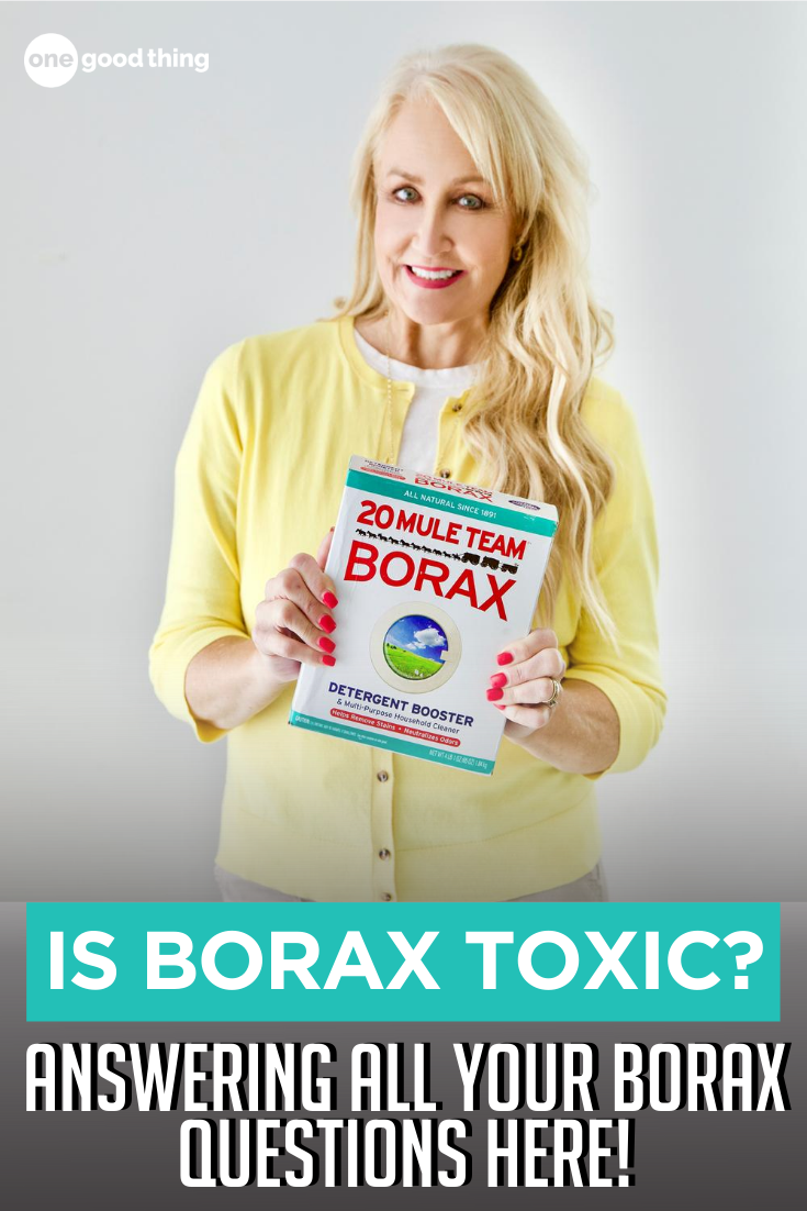 What Is Borax, Is Borax Safe, & How Does It Work?