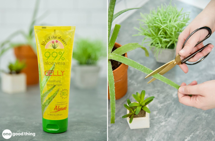 natural medicine cabinet