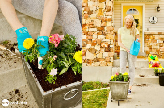 planting flowers