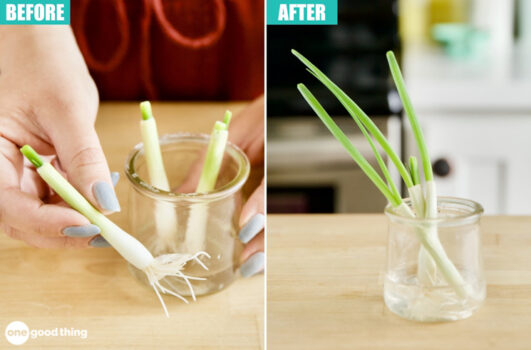 Before and after photos of growing green onions from scraps