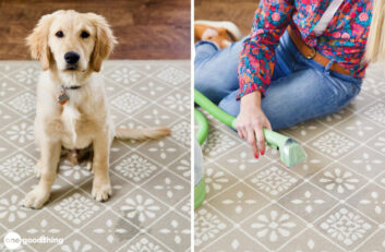 This little carpet and upholstery cleaner works like a charm on pet stains!