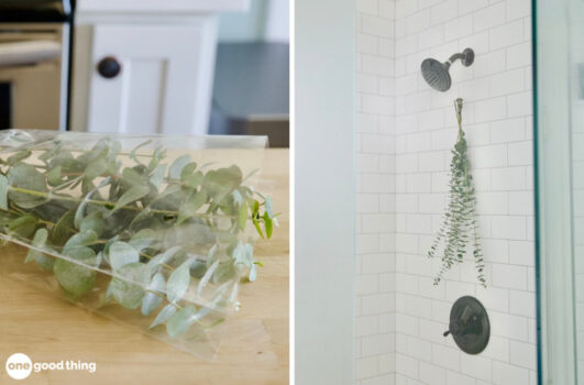 eucalyptus shower
