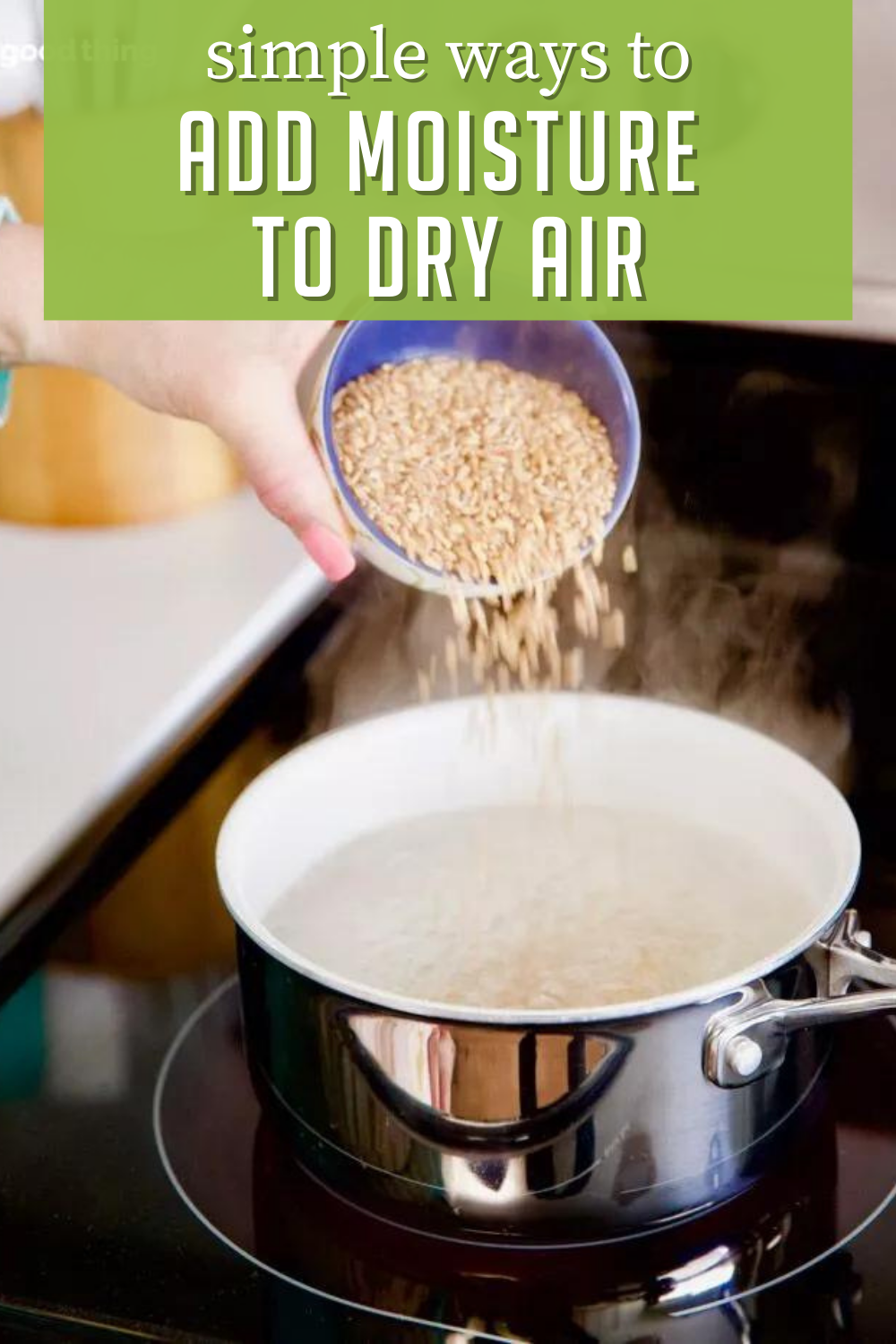 7 Ways To Add Moisture To The Air Without A Humidifier