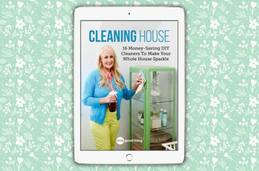 Free Cleaning House Ebook - ebook on a tablet
