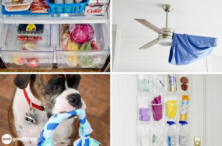 A collage of pictures of a dog, dog toys, and a refrigerator showcasing cleaning.