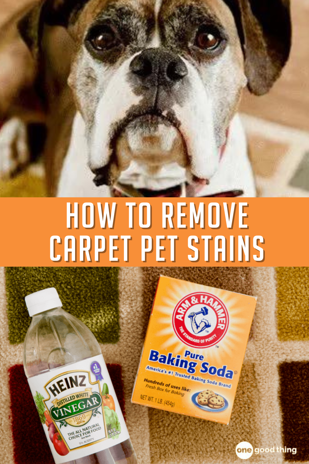 How To Remove Pet Stains From Carpet