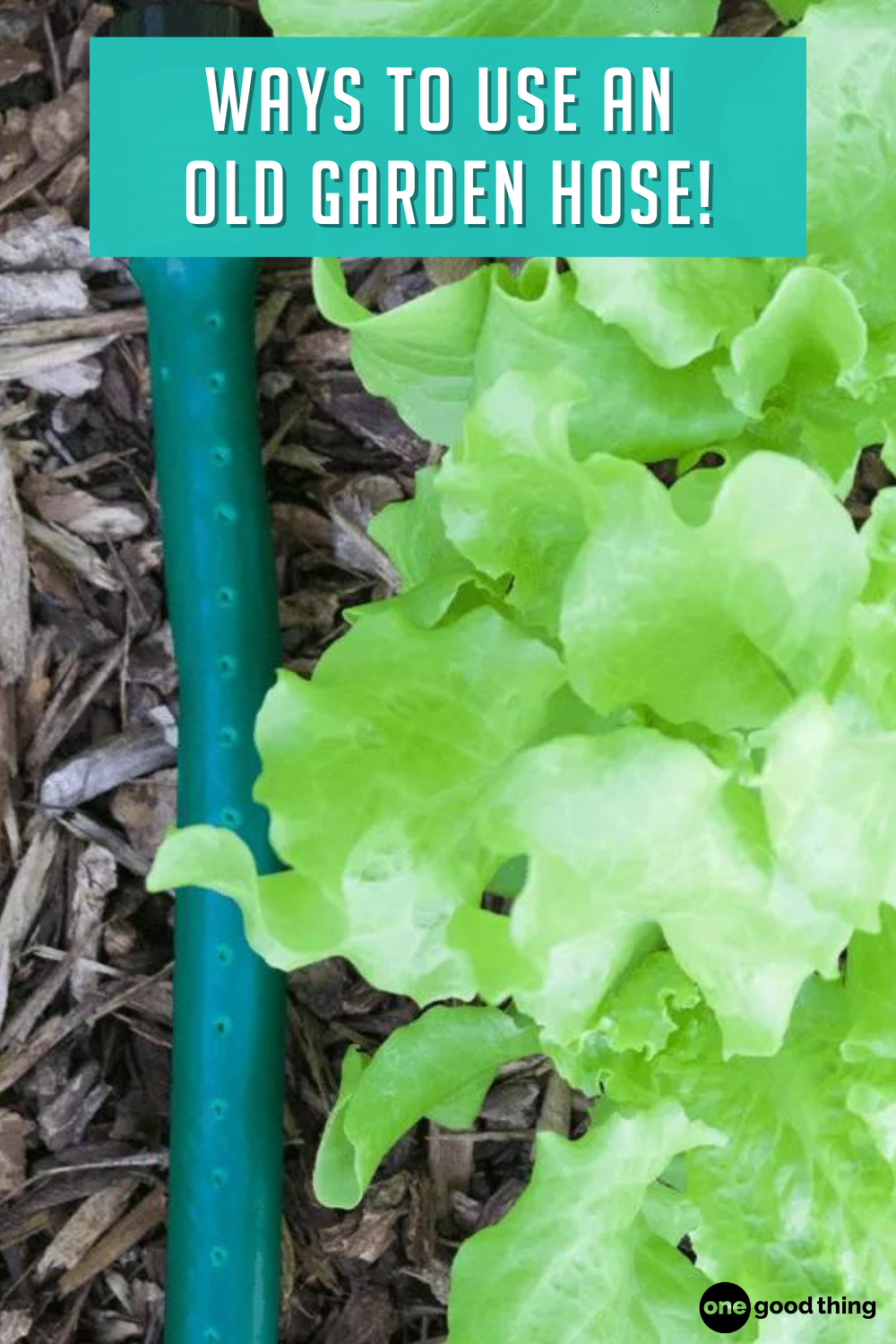 10 Ways To Repurpose Your Old Garden Hose