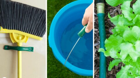 Repurpose Your Old Garden Hose