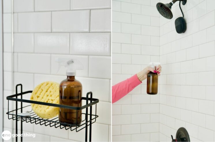 Daily Shower Cleaner