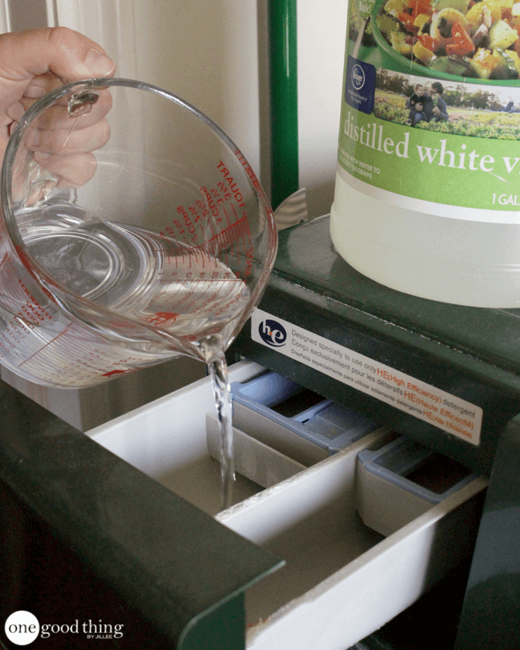 Demonstrating how to clean a washing machine with vinegar, a person pours distilled white vinegar from a measuring cup into the detergent compartment of the washer.