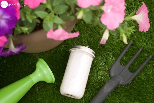 A small glass jar of hand scrub, a green watering can, and a black garden fork are placed on grass next to a potted plant with pink and purple flowers.