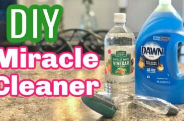 A bottle of distilled white vinegar, a large bottle of blue Dawn dish soap, and a scrub brush sit on a kitchen counter. Text reads: "DIY Miracle Cleaner—learn how to remove hard water stains with this simple homemade solution.